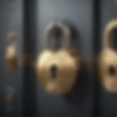 A secure lock symbolizing the security of financial data