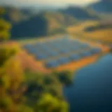 Aerial view of a solar farm with surrounding natural habitat