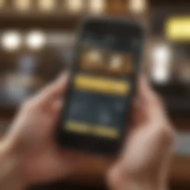 User-Friendly Interface of Western Union NetSpend App Overview of the Western Union NetSpend mobile app interface