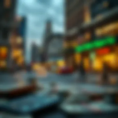 Impact of Tax Policies on Financial Choices Impact of Tax Policies on Borrowing Decisions