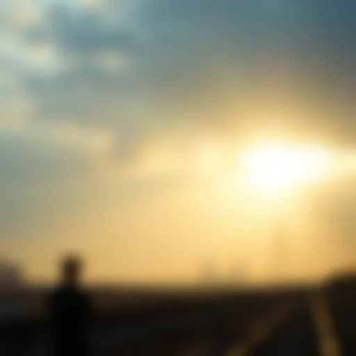 Understanding the Cost of Offsetting One Tonne of Carbon Introduction