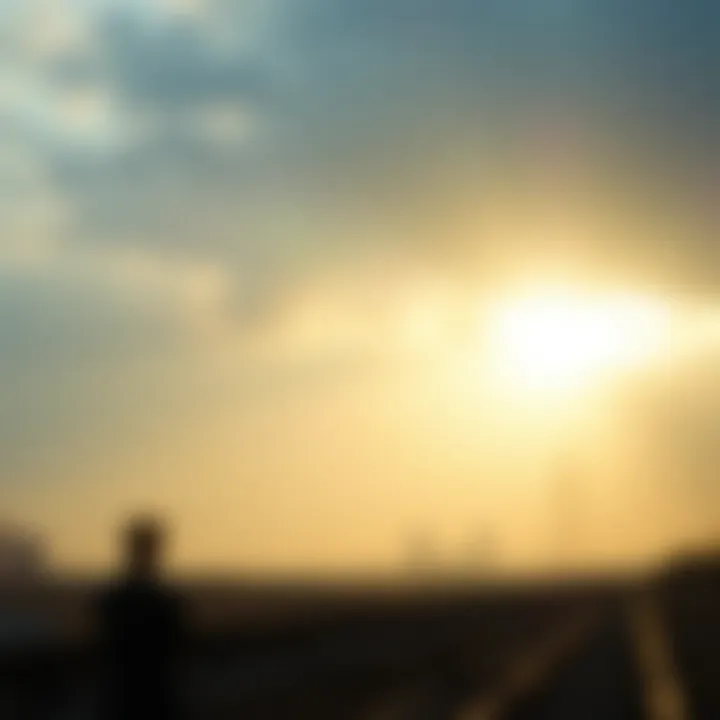 Understanding the Cost of Offsetting One Tonne of Carbon Introduction