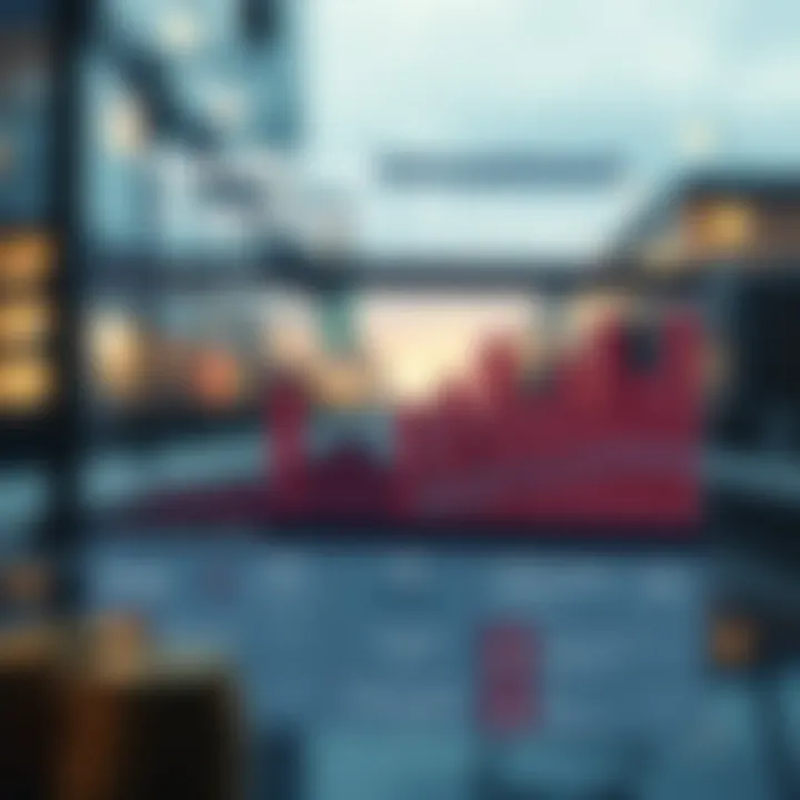 Optimizing Investment Strategies Infographic Infographic on optimizing investment strategies